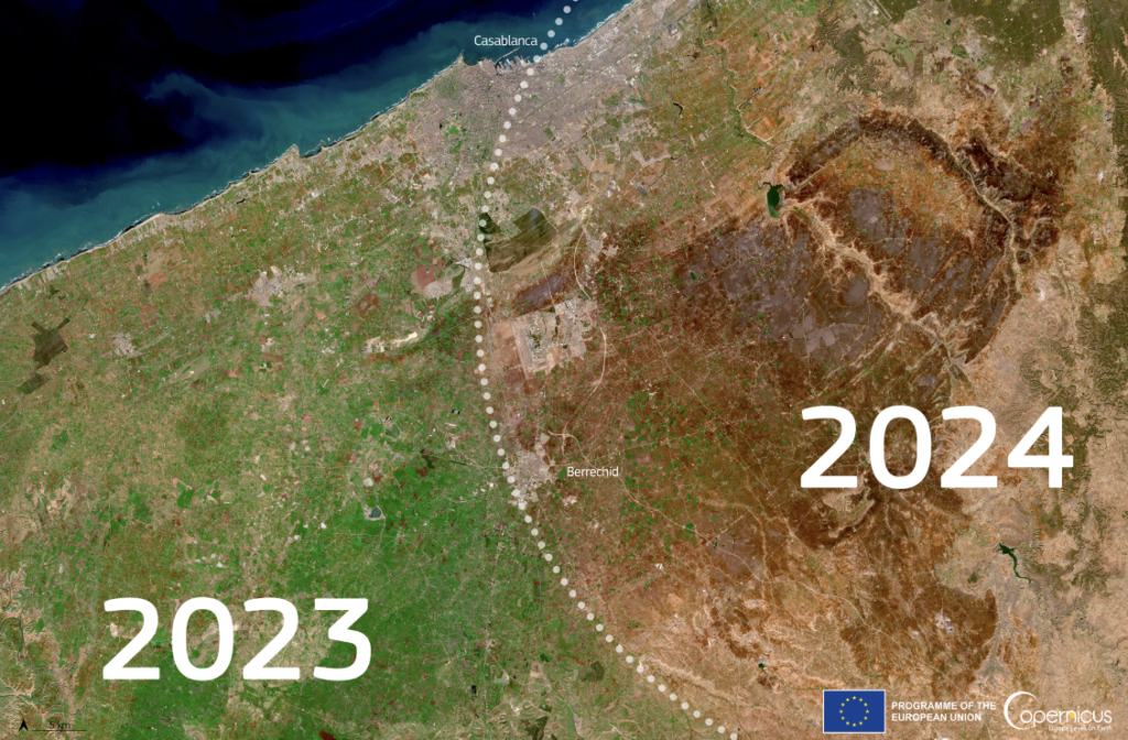 Prolonged Drought and Record Temperatures Have Major Impact on the ...
