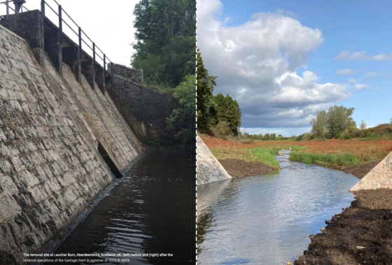 Record Dam Removals in 2023 Mark a Milestone in European River Restoration