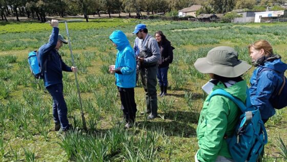 Green Light Field Visit: Progress in the Restoration of the Dar Fatma Peatlands, Tunisia