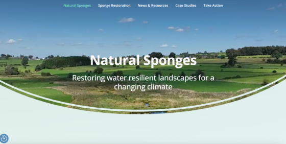 Wetlands International Europe Launches “Natural Sponges” Website