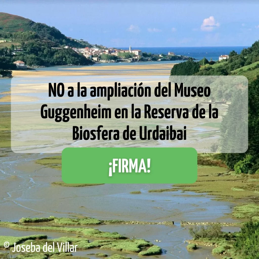 Picture of Urdaibai coastal wetland with text to sign the petition