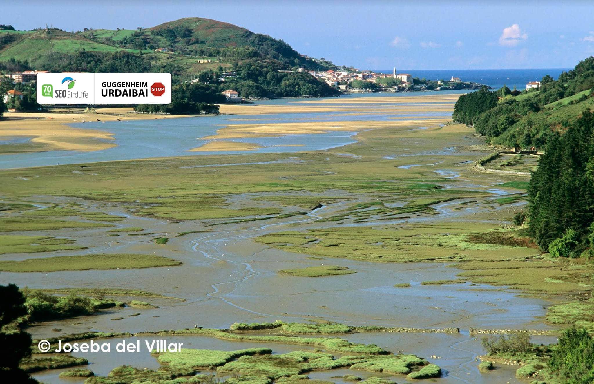 Picture of Urdaibai coastal wetland