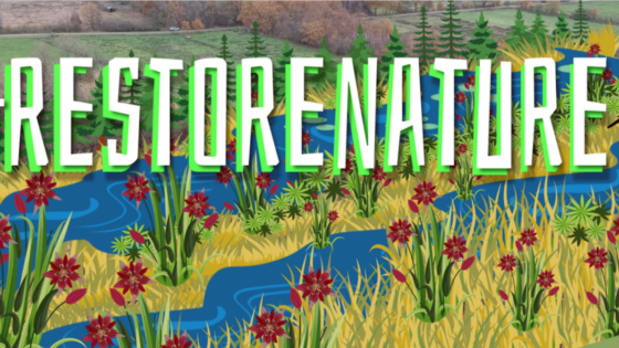 Nature Restoration Law: time to advocate for National Restoration Plans