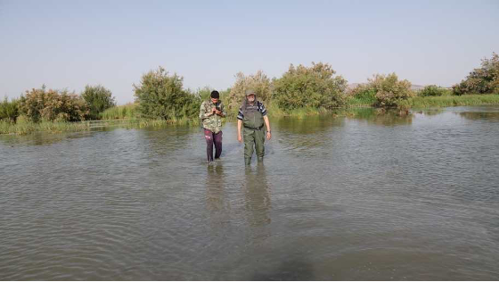 Waterbird Census Enhances Conservation Efforts in Sebkhates of Aurès Wetlands