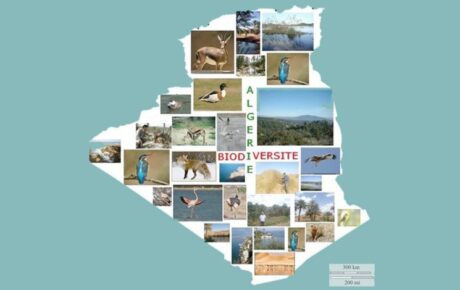 National Seminar "Biodiversité, Bio-écologie et Conservation de la Faune en Algérie"