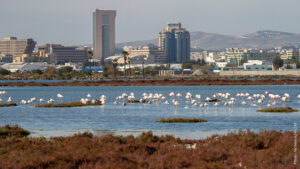 Lake of Tunis Complex, one of the sites where AAO is using the Wetland Index tool to assess system health