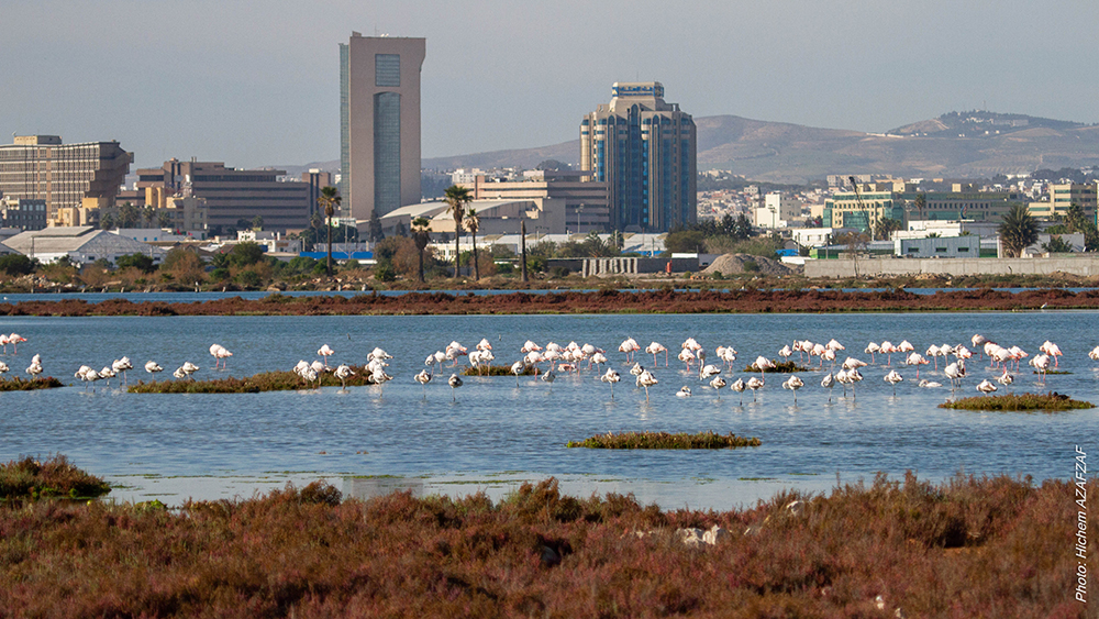 Featured image for “Setting up a wetland index at 3 sites around Greater Tunis to provide information on restoration”