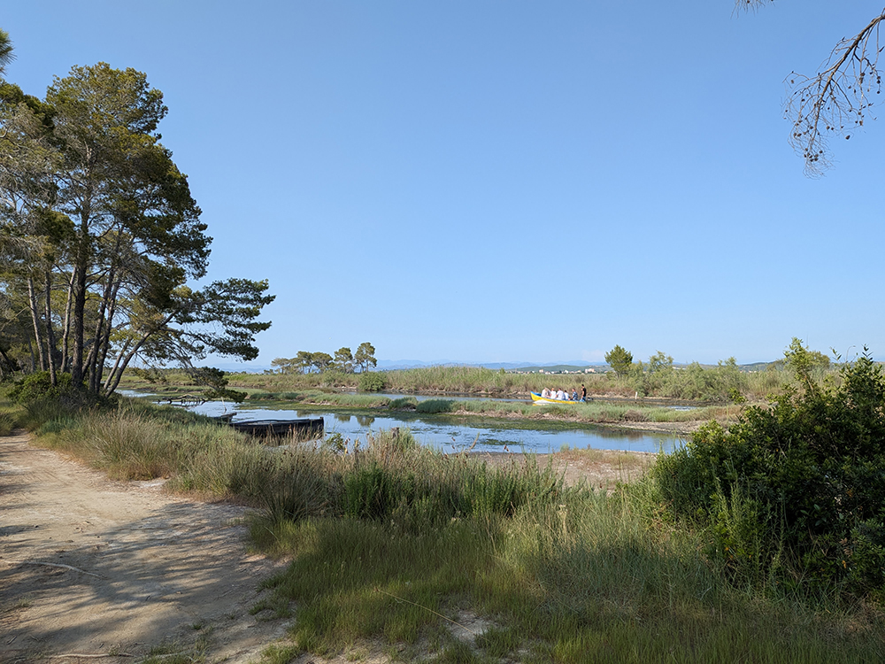 Featured image for “The Great Green Wall of Divjaka-Karavasta National Park”