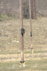 Seventeen nesting boxes have been installed in the project area as part of the biodiversity monitoring efforts