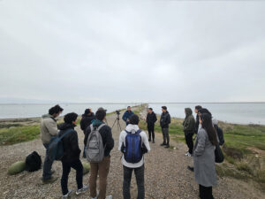 Field trip to introduce undergraduate students from Ege University’s Faculty of Medicine to the Gediz Delta, its bird species, and the basics of birdwatching—encouraging future professionals to understand and protect biodiversity.