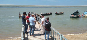 The team showing visitors migratory/wintering birds and the Greater Flamingo, which has recently established itself as a breeder on the site.