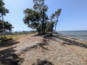 Signs of erosion, one of the critical issues facing the coast surrounding Kune-Vain
