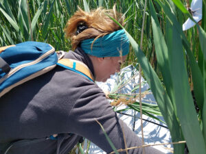 Educational camp in Dojran