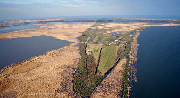 Featured image for “Wet Grassland restoration in the Kızılırmak Delta, Turkey”