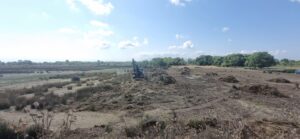 heavy machinery in the middle of the cleared juncus patch