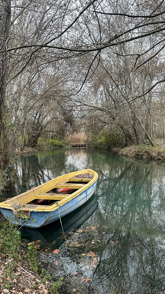 Featured image for “Restoration and Protection of Anjar Wetland for Biodiversity Conservation and Climate Resilience”