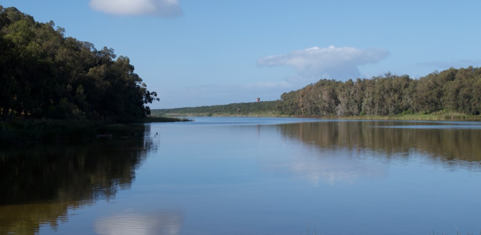 Featured image for “Contribution à la mise en œuvre du plan de gestion du site Ramsar Sidi Boughaba”