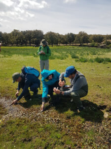 Sampling at the Dar Fatma peatlands in Tunisia as part of a field visit to support the design of the restoration project.