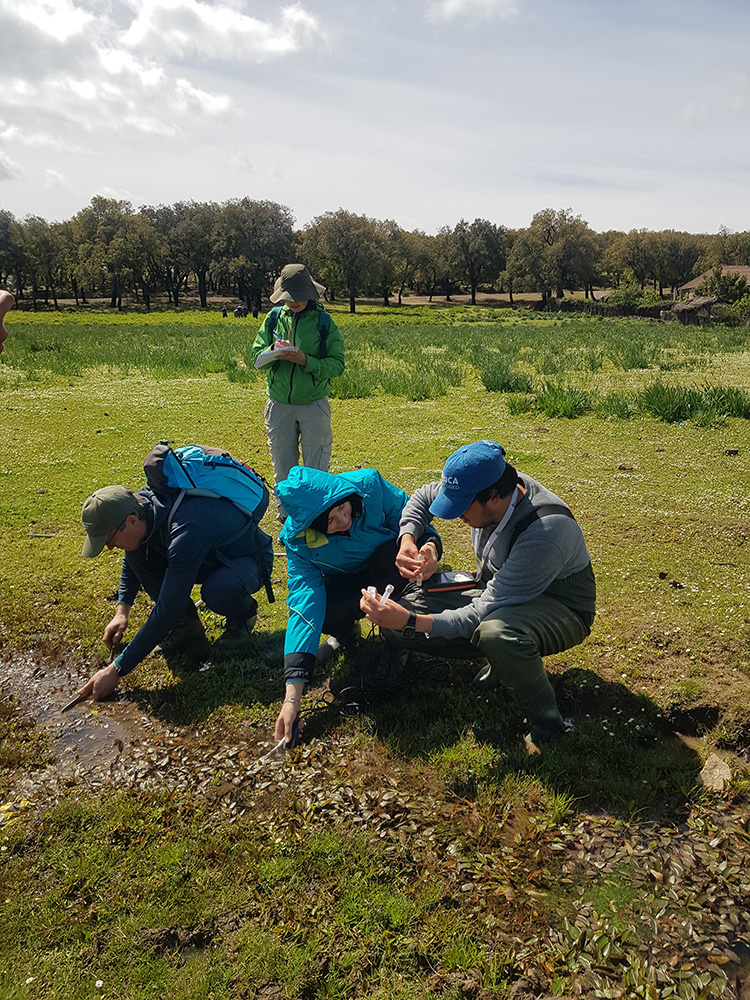 Featured image for “Initiation to restoration and awareness-raising for the preservation of the Dar Fatma peat bogs in Tunisia”