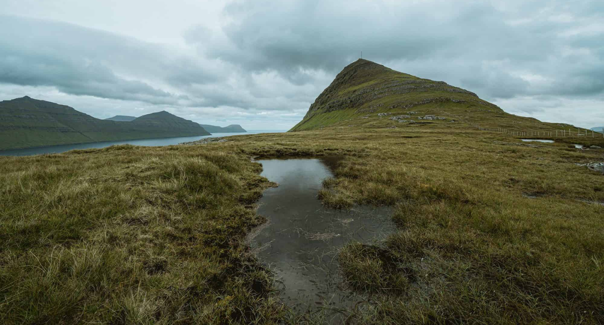 picture of a marsh wetland under a grey sky