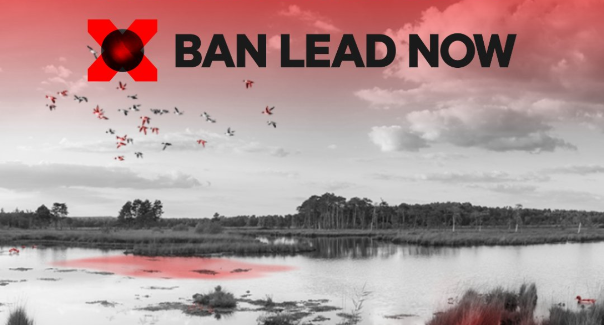 Black and white picture of a wetland with the words "Ban Lead Now" over it