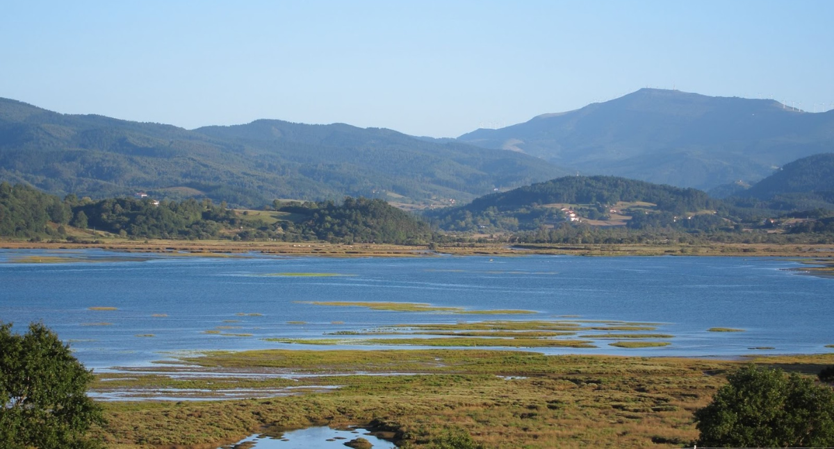 Featured image for “Urdaibai Red Alert – Campaign updates”