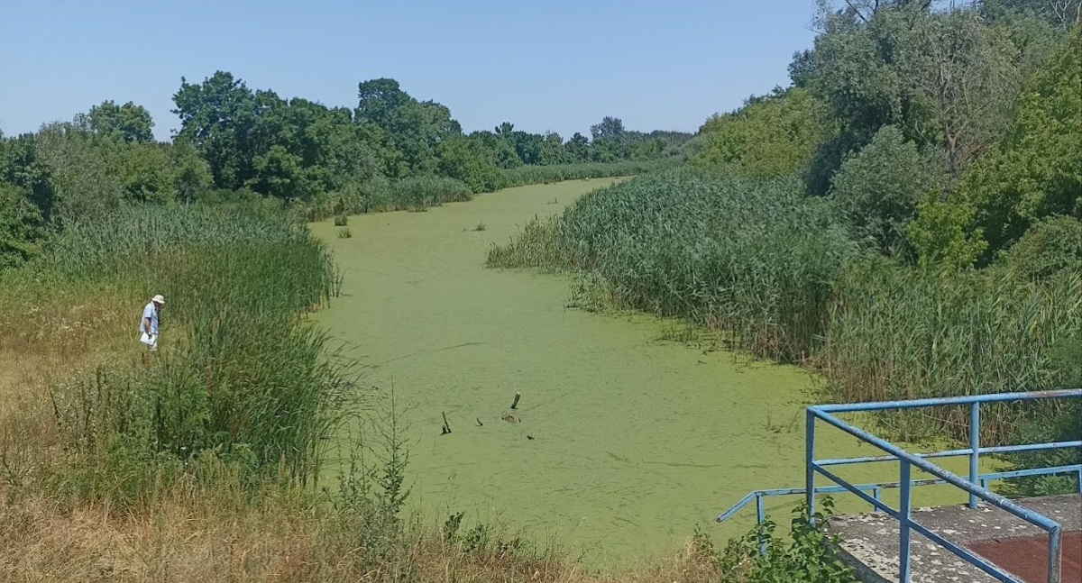 Featured image for “Green Light field missions – Serbia & Albania”