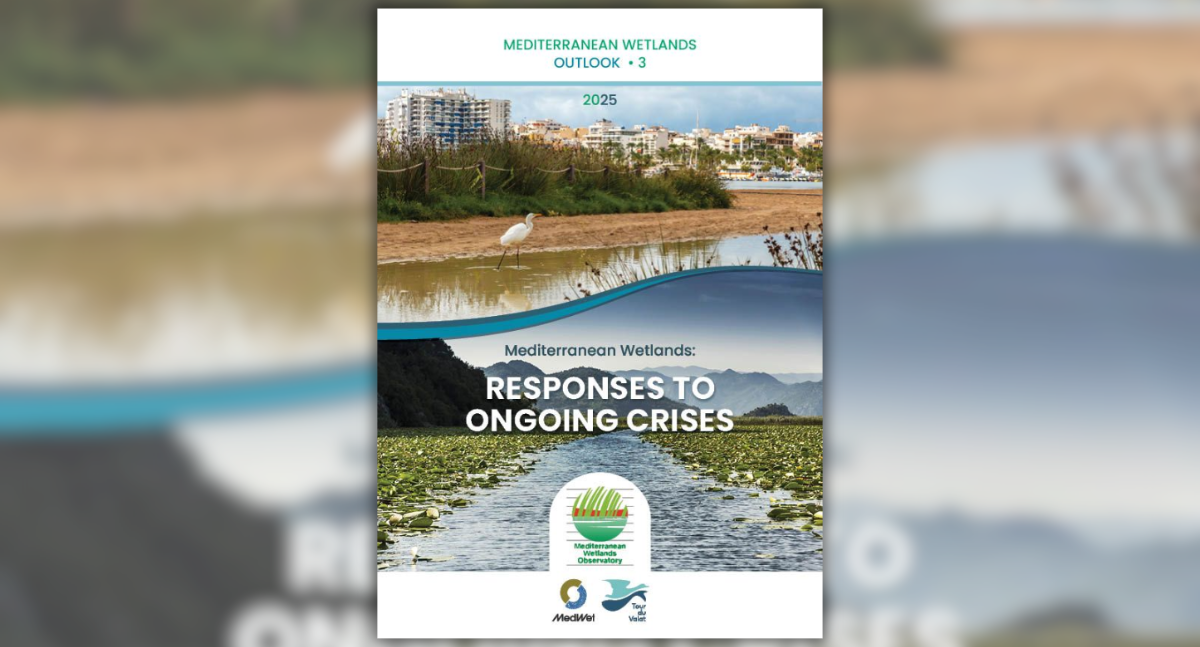 Featured image for “Mediterranean Wetlands Outlook 3 launched at Ramsar COP15”