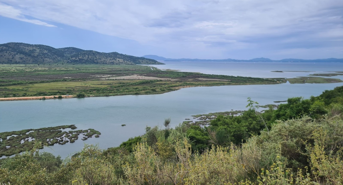 Featured image for “Restoring the Vrina Marshes: A New Green Light for Albania’s Coastal Wetlands”