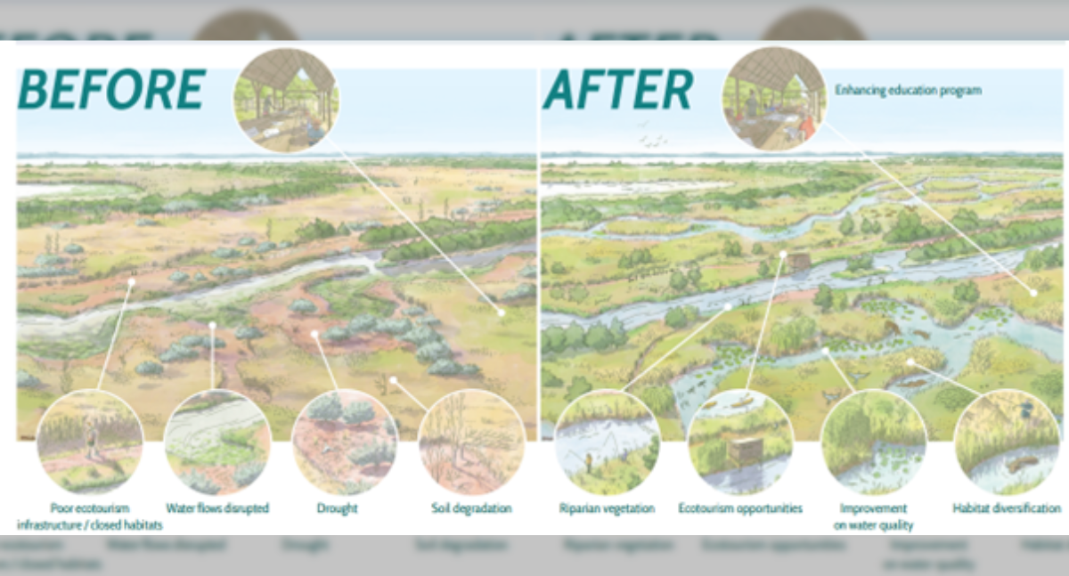 Featured image for “Carska Bara: A Green Light to Restore one of Serbia’s Most Iconic Wetlands”