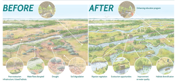 Illustration of the Before and After of the Carska Bara wetland if the restoration was to be put into place