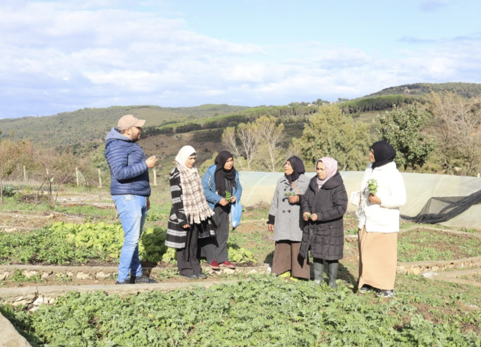 Featured image for “From Restoration to Empowerment: Supporting Local Women in Dar Fatma”