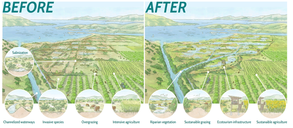 Illustration of Vrina Marshes Before and After restoration project