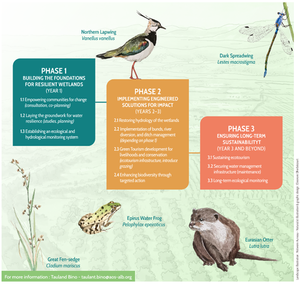 Illustration of the Vrina Marshes restoration project phases, including illustrations of key species