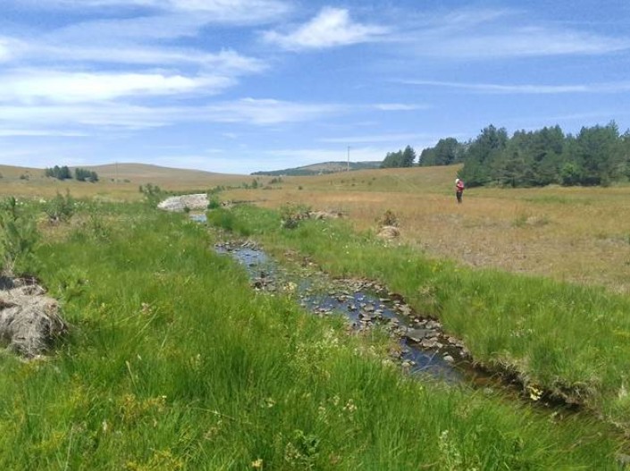 Featured image for “Strengthening HabiProt and Knowledge of Endangered Peatlands in Southwestern Serbia”
