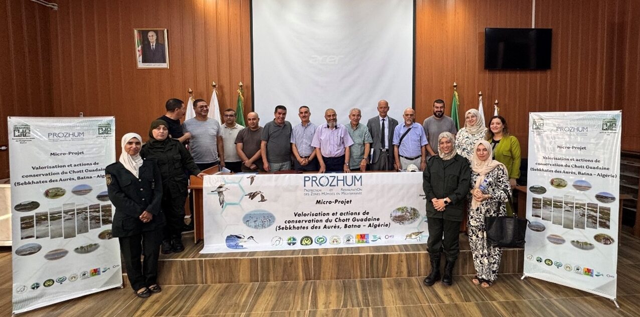 Featured image for “Valuation and conservation actions of Chott Guadaine (Batna, Algeria)”