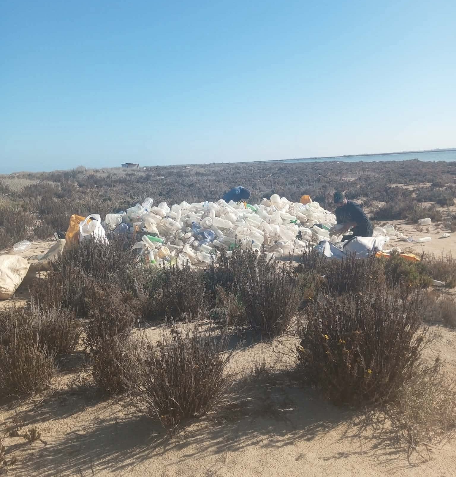 Featured image for “Eliminating Plastic Waste for Ecosystem Sustainability on Farwa Island”