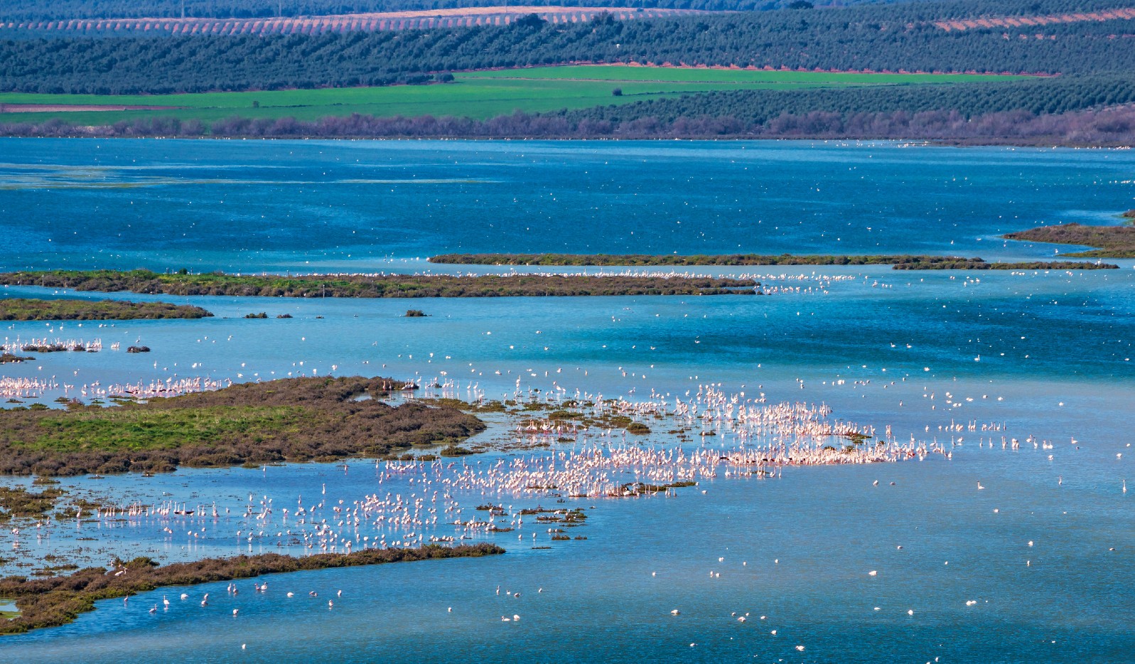 MAW Cover © Rudolf Ernst