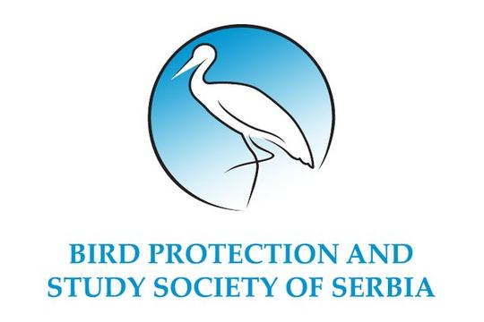 Featured image for “Bird Protection and Study Society of Serbia”